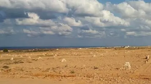 For Sale Land in Mazira