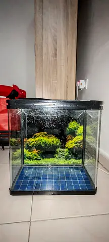25-Liter Glass Aquarium (36cm x 23.5cm x 30cm)