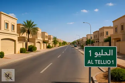 اراضي للبيع في عجمان / لبناء تاون هاوسس وفلل مستقلة /منطقة الحيلو  على شارع محمد بن زايد / مساحات واسعة