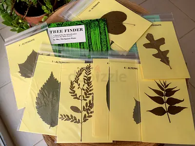 Waldorf Montessori Leaf Identification Kit NEW