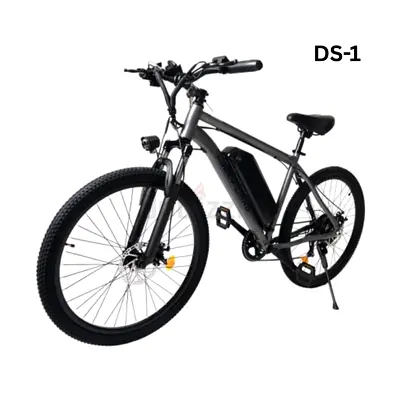 Electric Mountain Bike DS-1