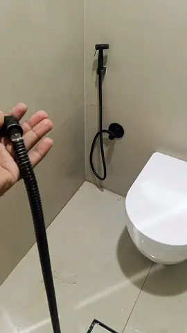 Professional Maintenance