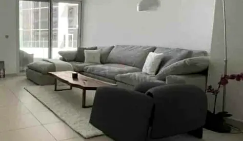 Modular Pan Home pianca feather 🪶 filled Sofa with footstool