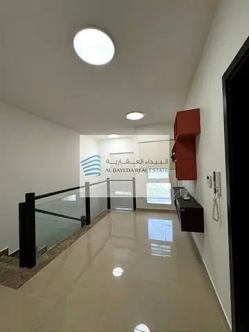 مينا العرب - فلامنجو 2