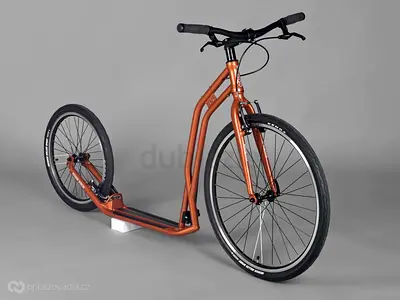 Stylish Copper Kick Scooter