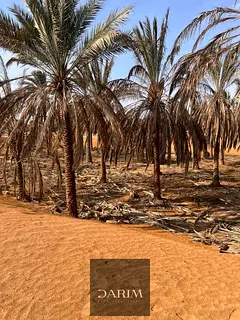 Hot opportunity to own a freehold residential plot in the highly desirable Zahya 1 community.