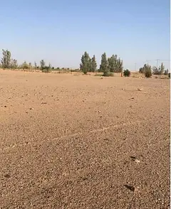 Land for sale in Juwaiza Al-Malha