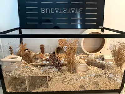 Hamster enclosure for sale