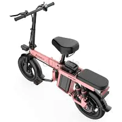 Wind Horse C19 Folding Electric Bike
