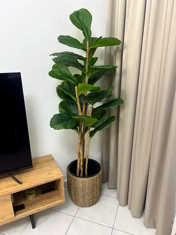 Artificial Plant