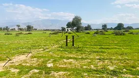Ideal Commercial Plot l Green Fertile Soil l Has Water l Has Electricity l Great Location l Planting