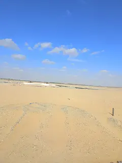 Land for sale investment property