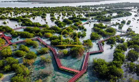 Magnificent Plot|Build your Dream Home|Invest Now