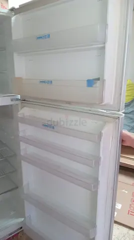 Refrigerator with Ample Storage Space
