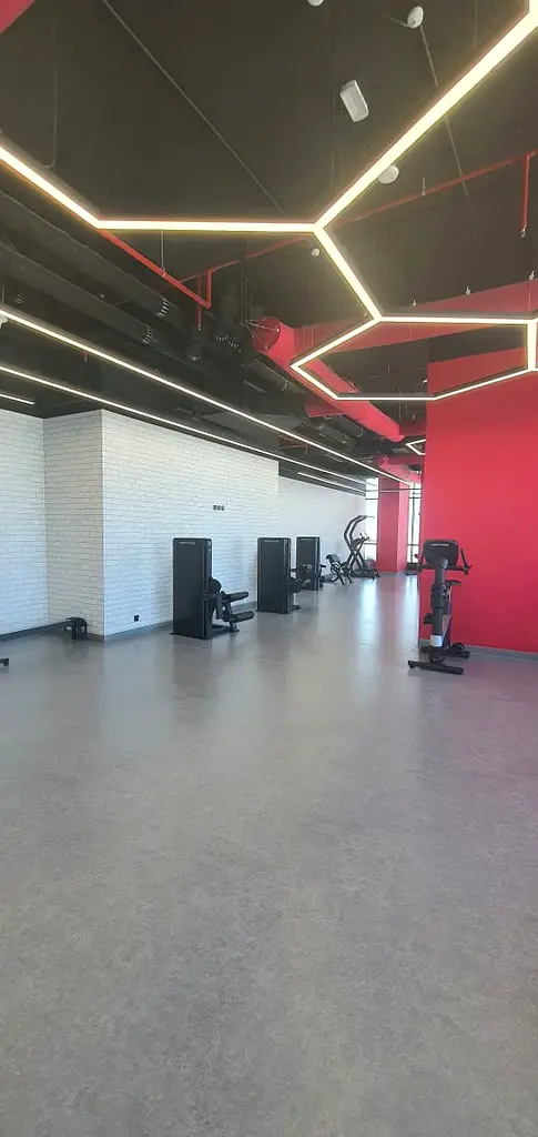 gallery-image
