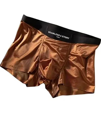 Mens Seamless and Story Boxer Briefs