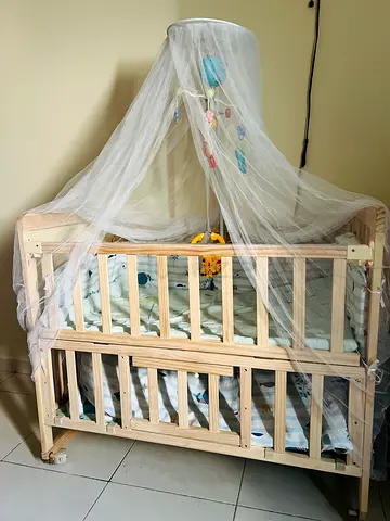 Wooden Crib with Canopy