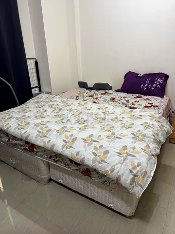 Bed  Mattress