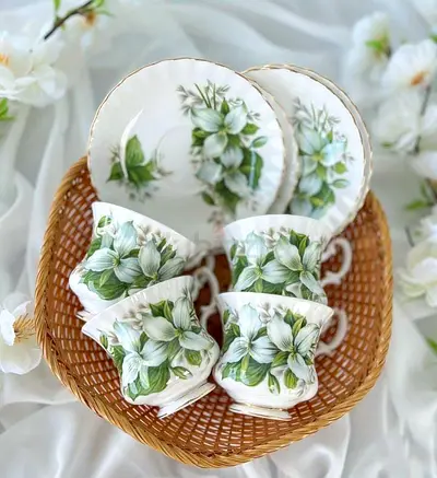 Royal Albert vintage tea - coffee set