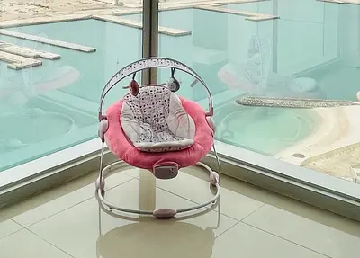 Baby Bouncer for Sale – Excellent Condition