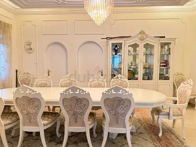 Elegant Dining Table Set with 12 Chairs