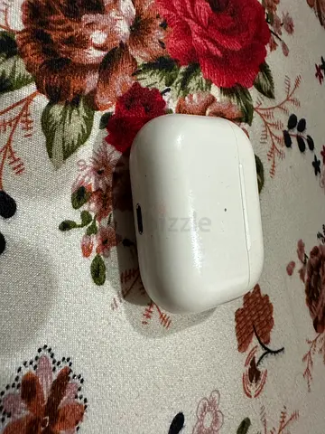 Apple AirPods Pro Case only