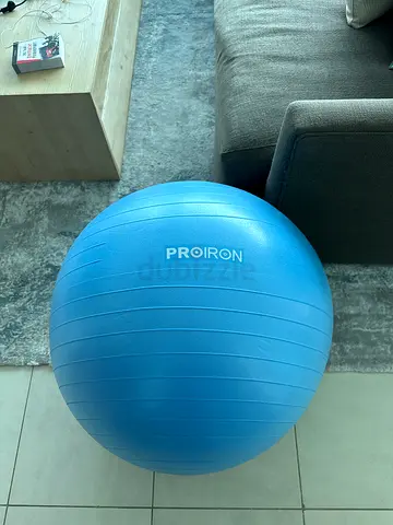 Proiron Exercise Ball for Stability and Fitness