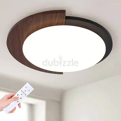 Modern Ceiling Light with Remote Control