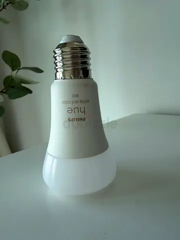 Philips Hue Smart Bulb