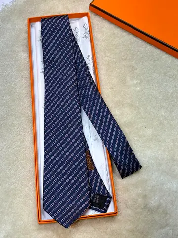 Hermes Tie