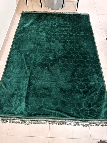 Elegant Green Area Rug