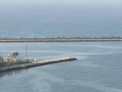 بلكونه واضاءه طبيعيه طوال اليوم / غرف وصاله علي الشارع العام / تشطيبات ديلوكس / جاهزه للسكن .