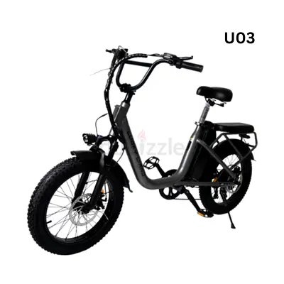 Electric Fat Tire Bike for Sale