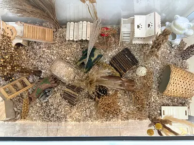 Beautifully Crafted Hamster Habitat