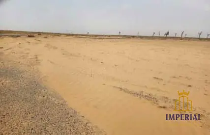 🏢 أرض تجاري زاوية للبيع في عجمان المنامة – مساحة 5005 قدم مع تصريح سكني تجاري أرضي + طابقين وإمكانية زيادة الطوابق