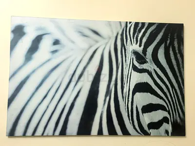 Stunning Zebra Portrait Art Print