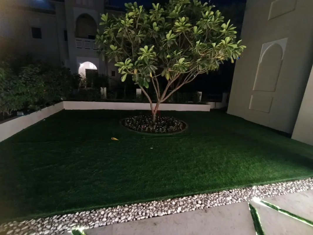 DPV_View_Image_8