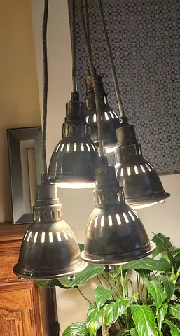 Marina home pendant lights 5