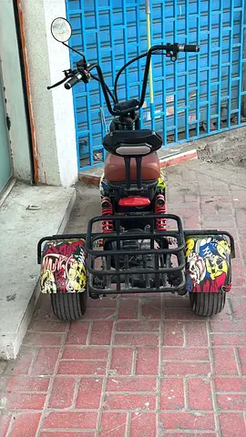 Custom Off-Road Trike for Sale