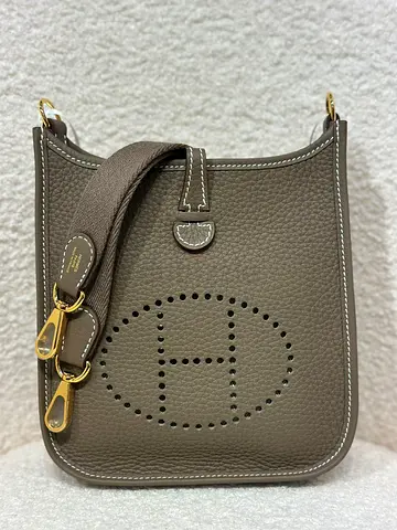 Hermes mini evelyne