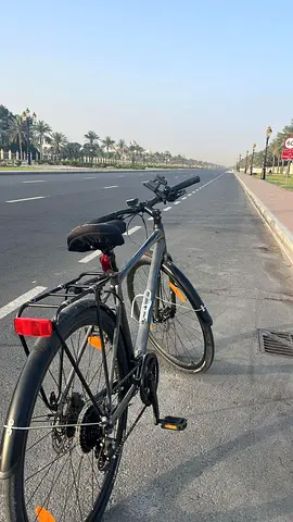 Quality Road Bike for Sale Giant M2