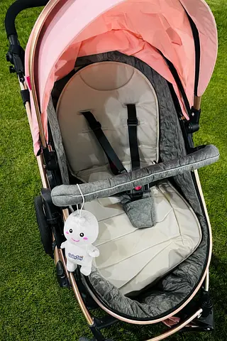 Stylish Baby Stroller