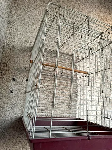 Bird cage for sale
