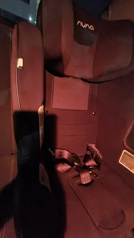 Adjustable Nuna Car Seat