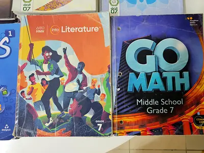 Grade 7 American School Books.