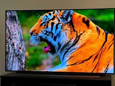 LG OLED 55” Smart TV – C1 Series (OLED55C1PVA)