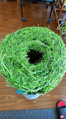 Brand New Green Area Rug 80x150 cm