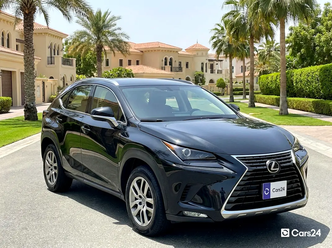 Lexus NX-Series 2022 — photo 1 of 13