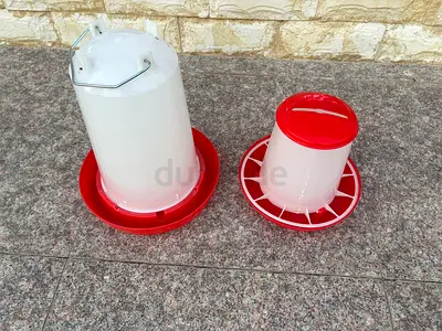 Food and Water Containers for birds