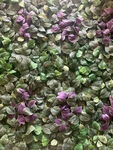 Wall or Balcony Decoration